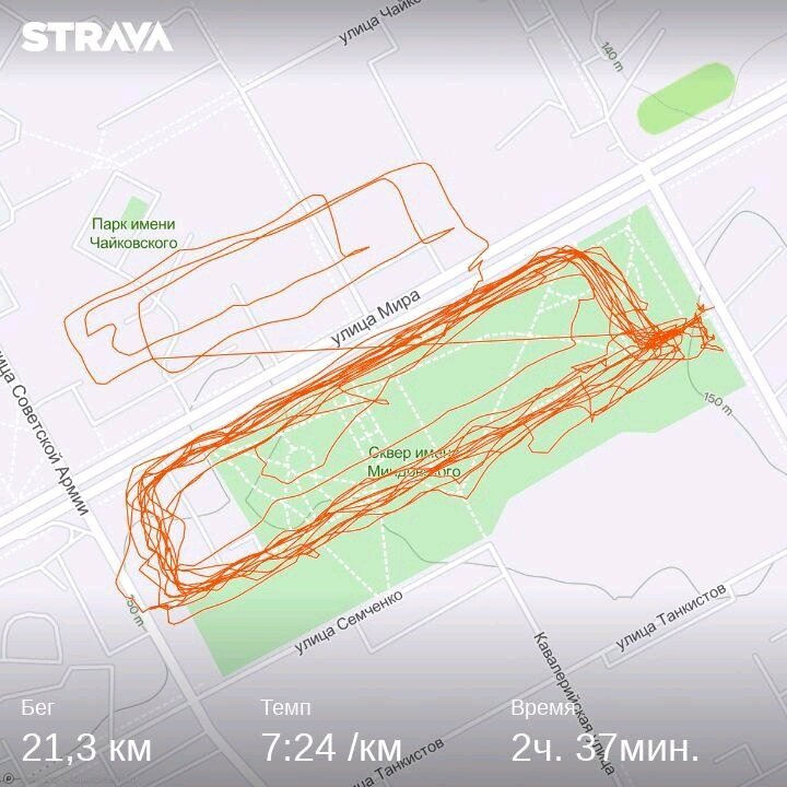 Так выглядит полумарафон в парке Миндовского