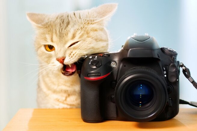 Фото из сети интернет. 