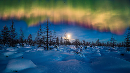 Фотография не гало а говна какого то для красивой фотки в посте)