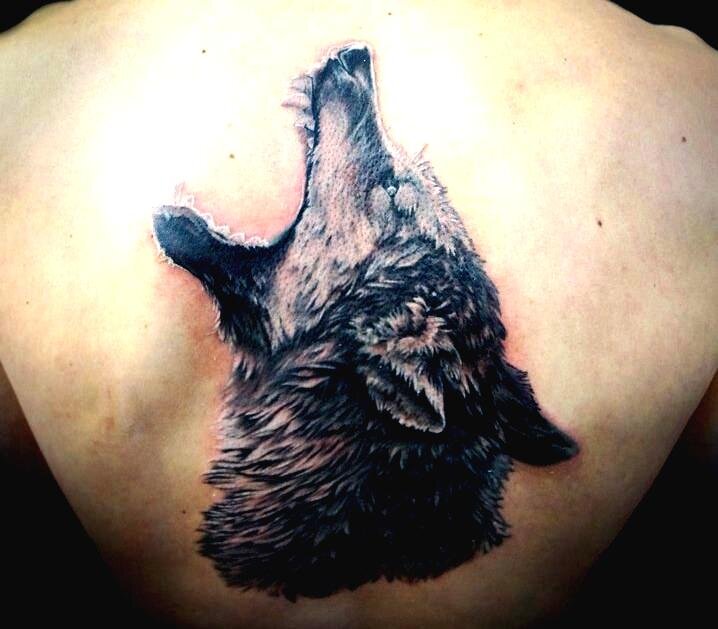 на тему волк.