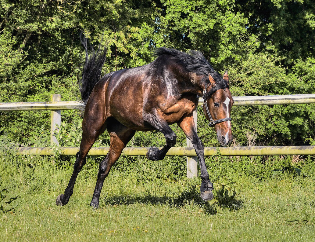 Источник: pixabay