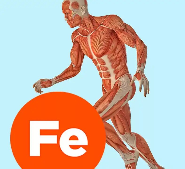 "Fe"-так обозначается металл железо