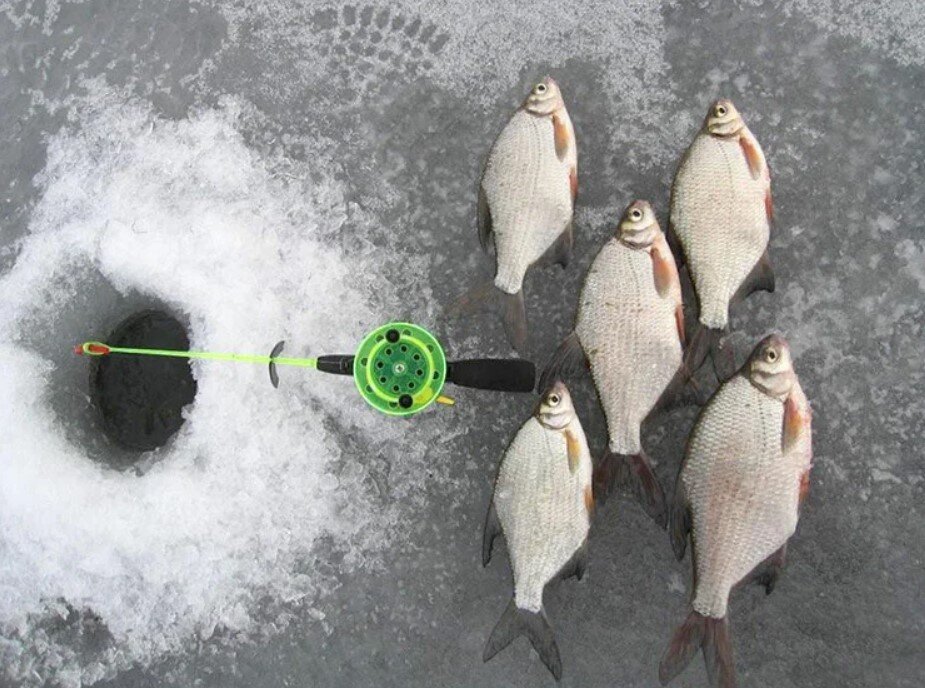 Ловля леща зимой.