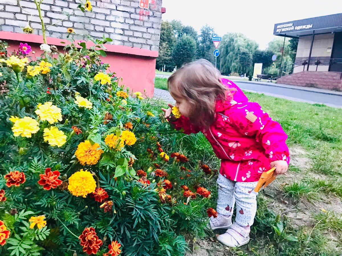 К чему приводит итальянская вседозволенность