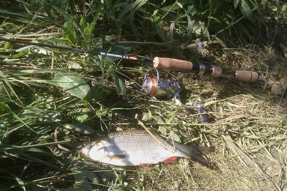 На мормышку