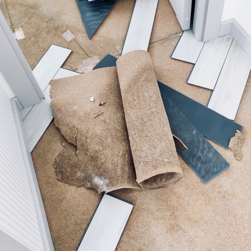 Плесень на подложке