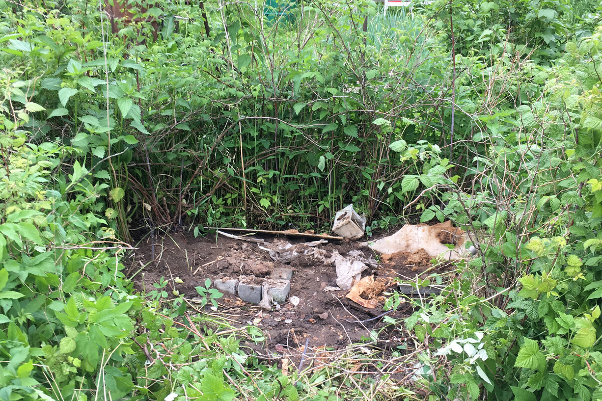 А это фото после вывоза мусора