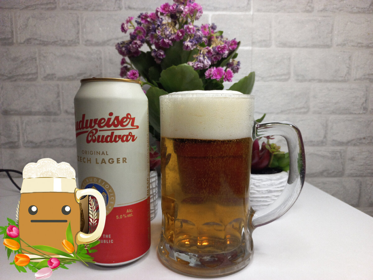 Наименее отвратным из испитых кружек можно назвать классический чешский лагер Будвайзер! Плоско, скучно, водянисто, ооочень скромная горчинка на финише. Стоил бы рублей 40-50 еще куда ни шло, но вот за соточку - он явно этого не стоит. 