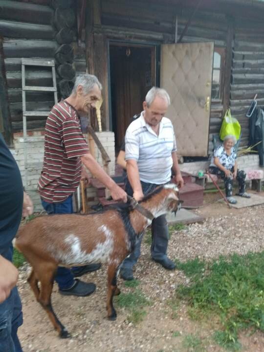 Записки хозяйки Дома для людей, оказавшихся в сложной жизненной ситуации, - «Ремесло добра» // Фото автора. Тот самый Маршал