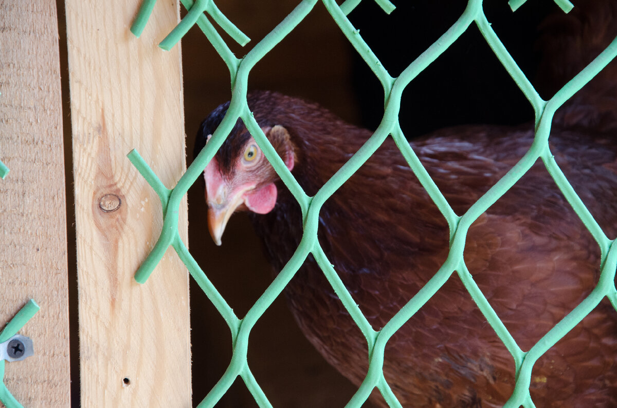 Задумаешься тут...