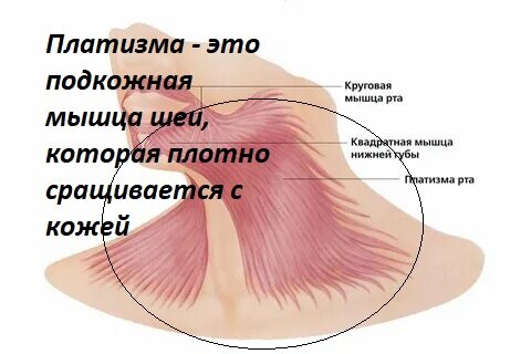 pinterest - свободный доступ