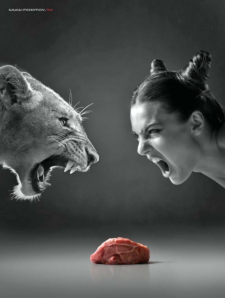 Источник фото: https://35photo.pro/photo_814704/#author/814704