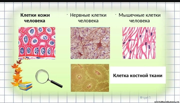Взято из открытых источников. 