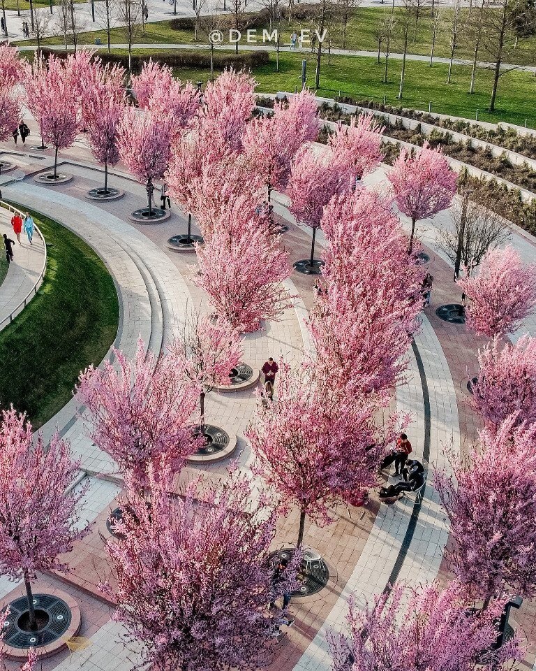 Парк галицкого весной