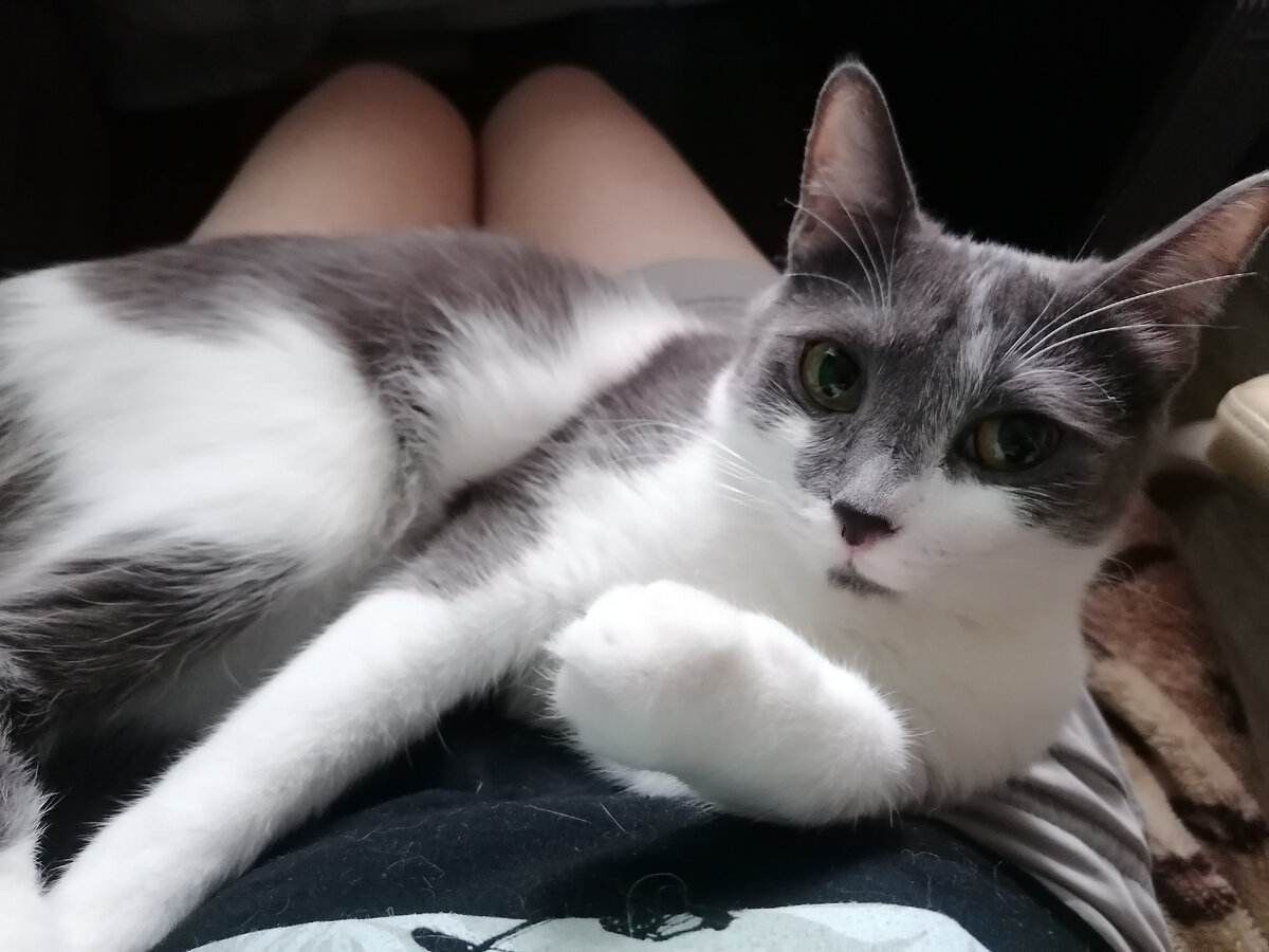 Ну ладно, так тоже неплохо. А что делать будешь?