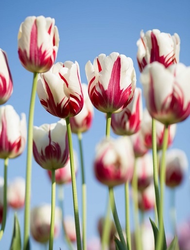 Изображение из открытого источника. Unsplash