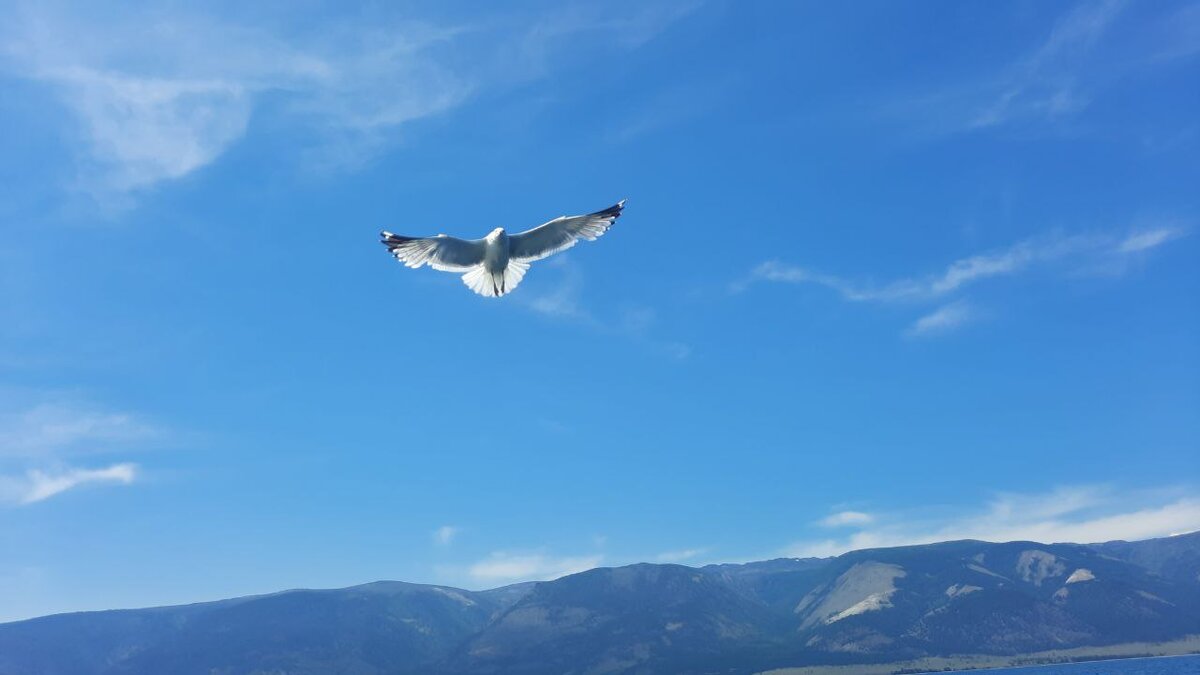 Фото Надежды Жупиковой