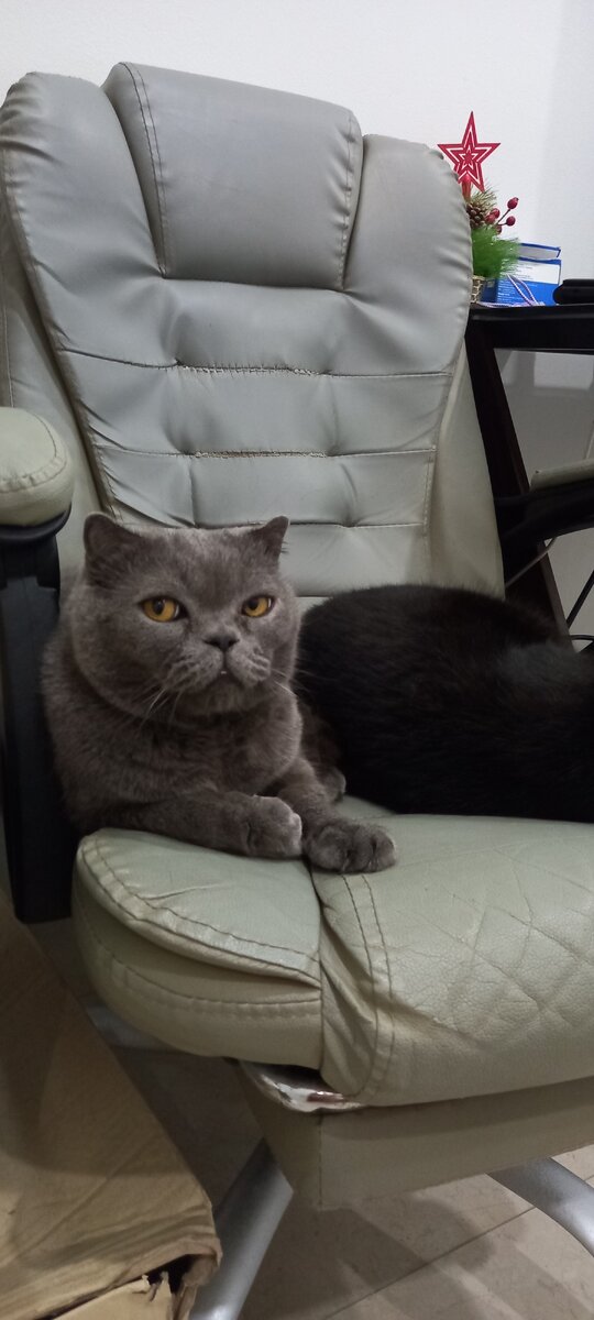 Обратите внимание на взгляд ))