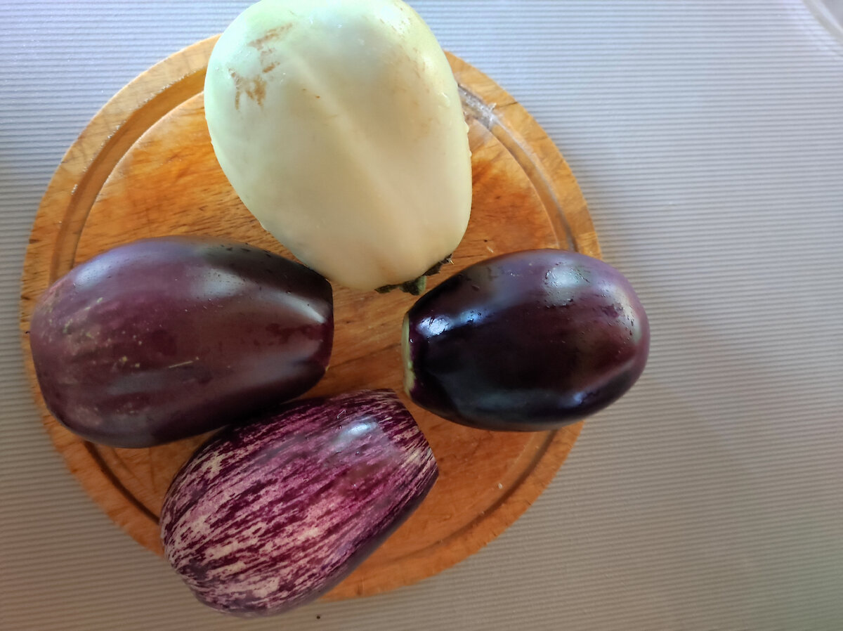 Баклажаны белого цвета имеют мягкую нежную структуру, мраморный баклажан мягкий, а вот у фиолетового структура чуть прочнее. Фото автора Натальи Белотеловой. 