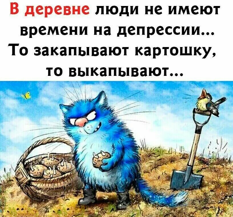 Картинка из интернета