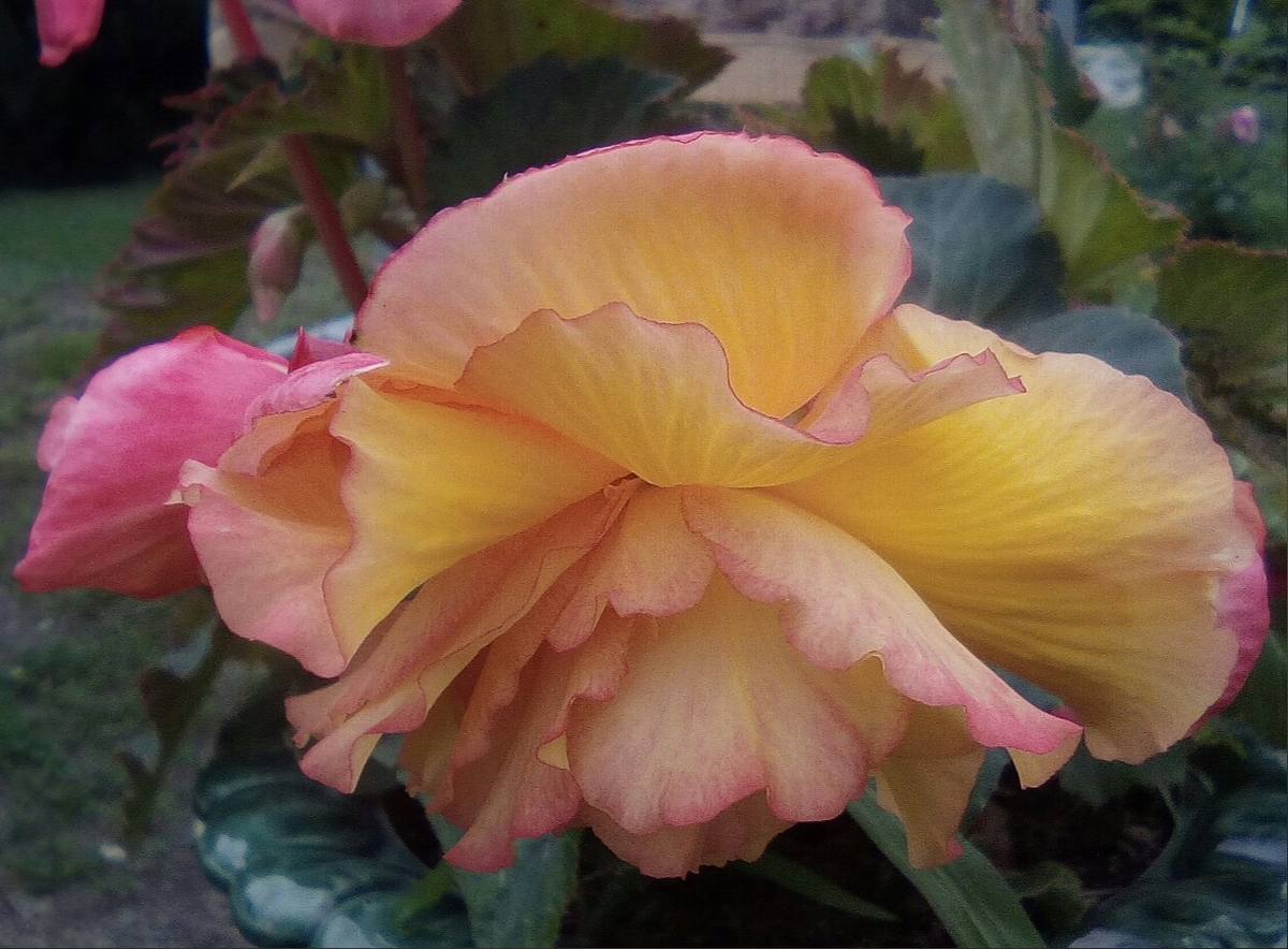 фото Стихи Поэта