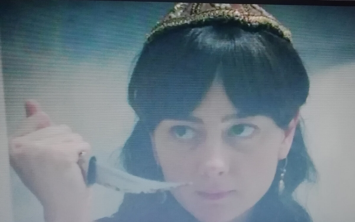 Диана вычислила шпионку.