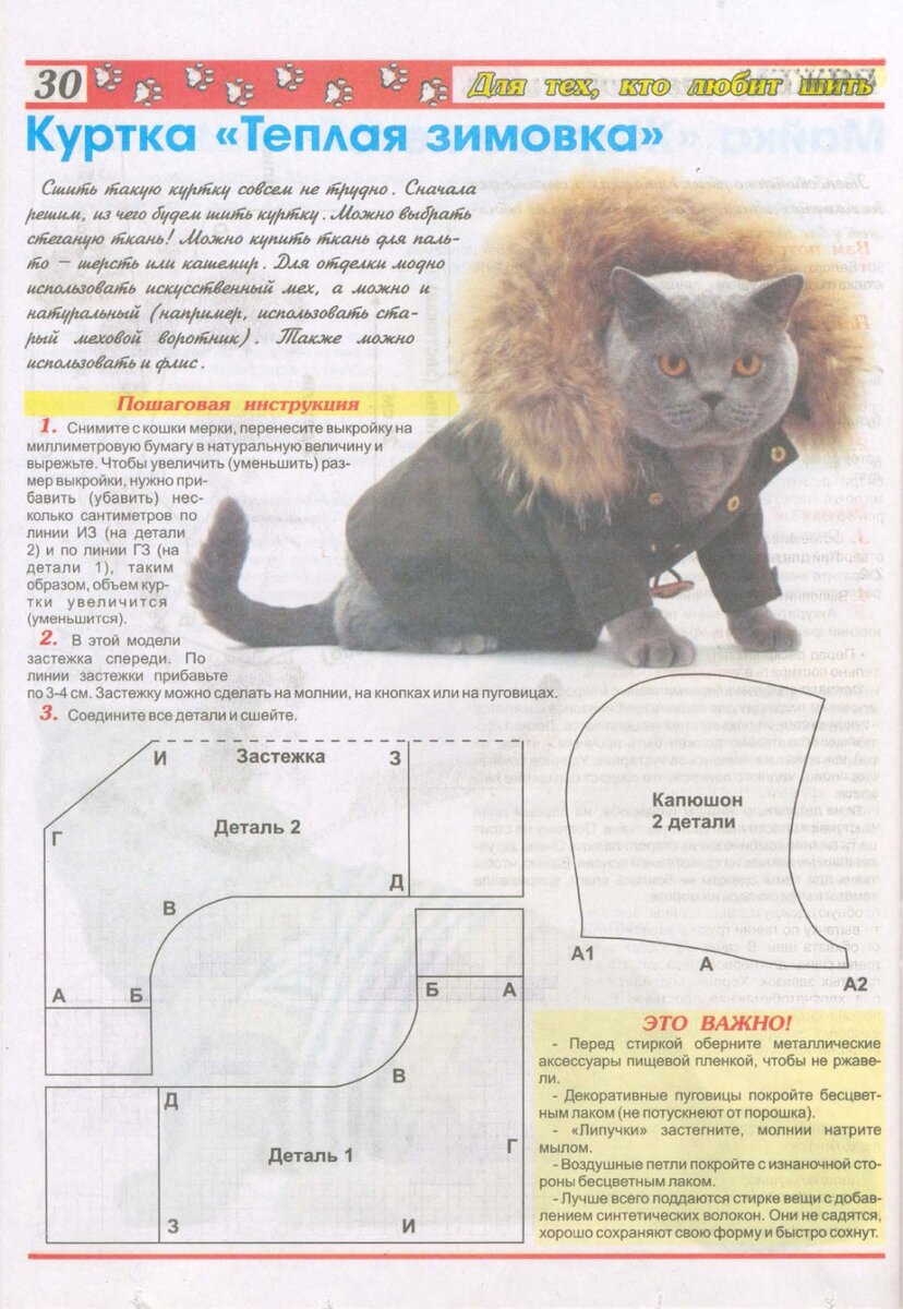  pets-expert.ru 