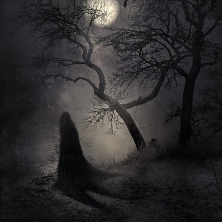 Яндекс картинки 