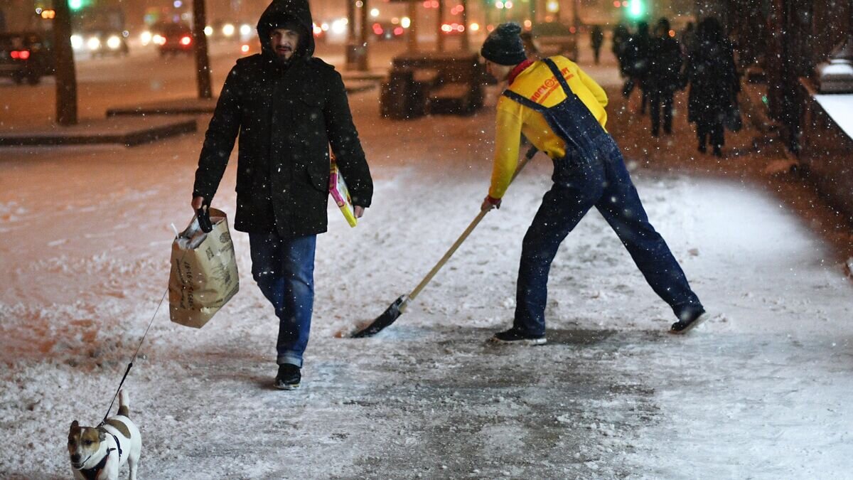    Снегопад в Москве© РИА Новости / Владимир Астапкович