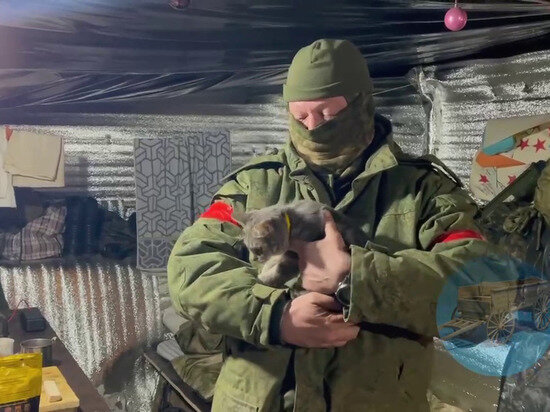     Скриншот видео
