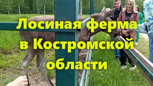 Костромской музей-заповедник