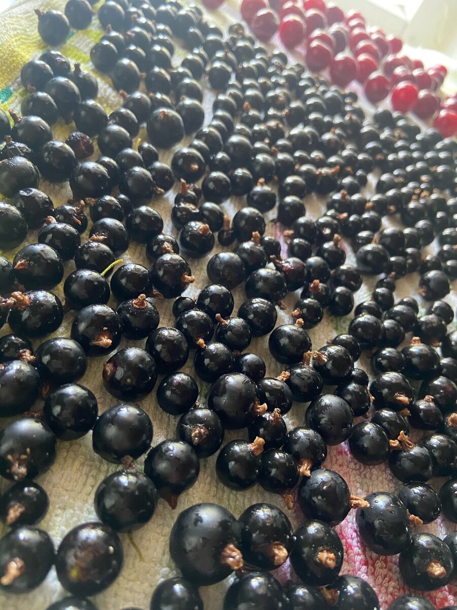 Готовлю ягоду к настаиванию.