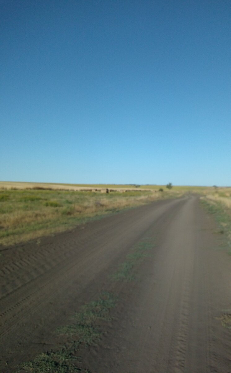 Фото автора. Пыльная дорога.