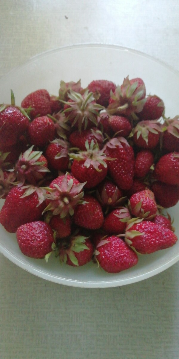 Ягоды с сада