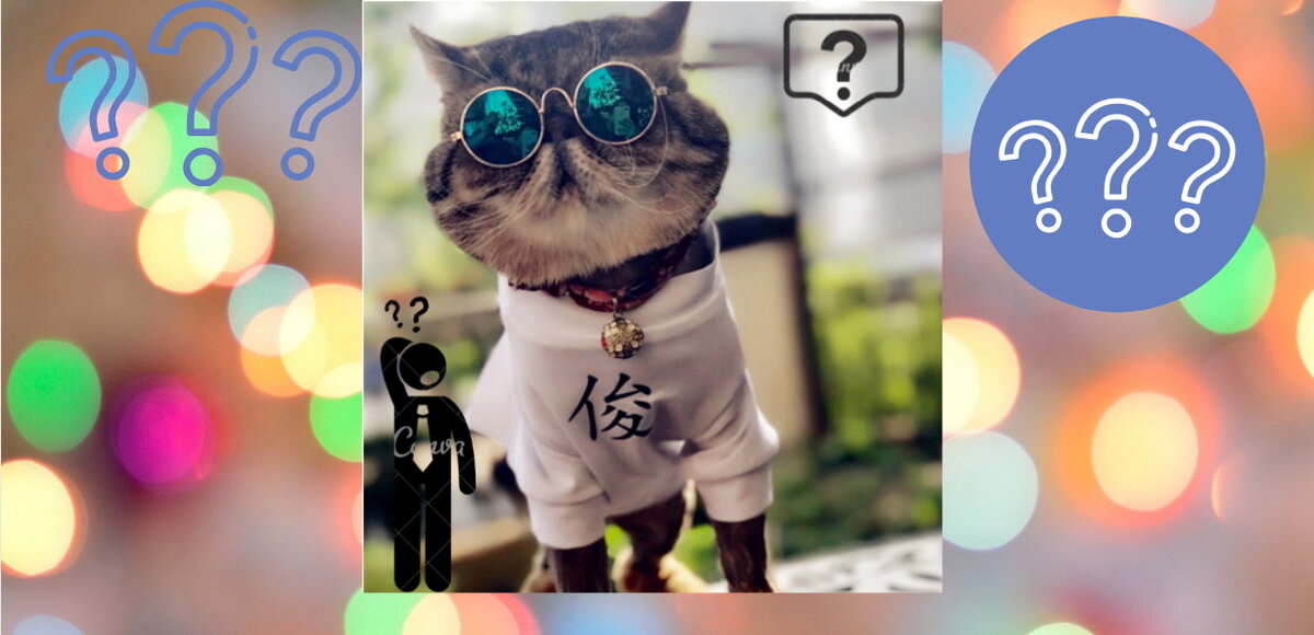 Так выглядит автор, когда вы задаете вопросы :)