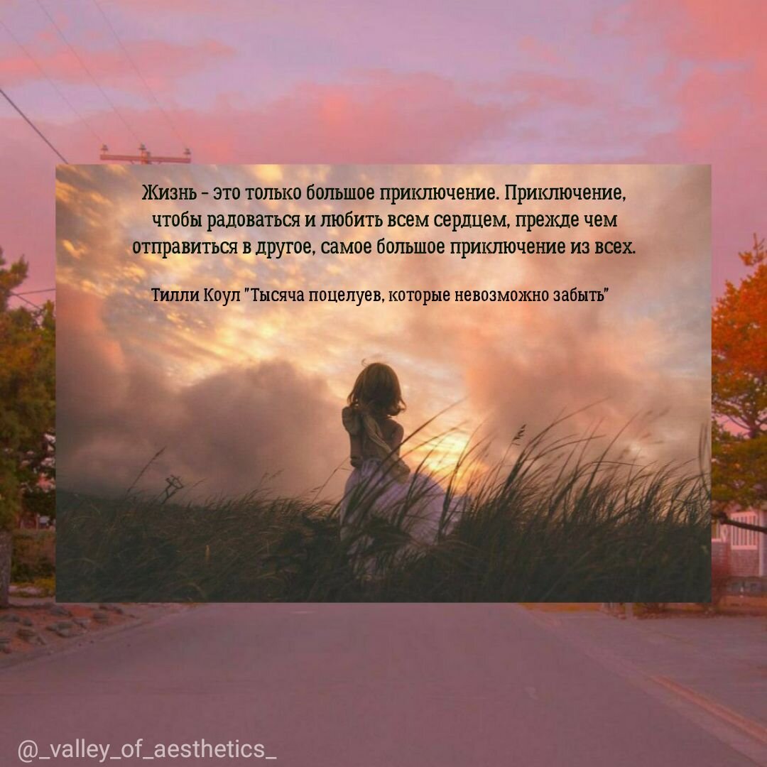 цитата 1 из книги "Тысяча поцелуев, которые невозможно забыть" Тилли Коул, картинка с инстаграмм-страницы _valley_of_aesthetics_