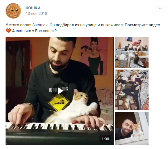 Тот самый пост про мужчину с котиками.