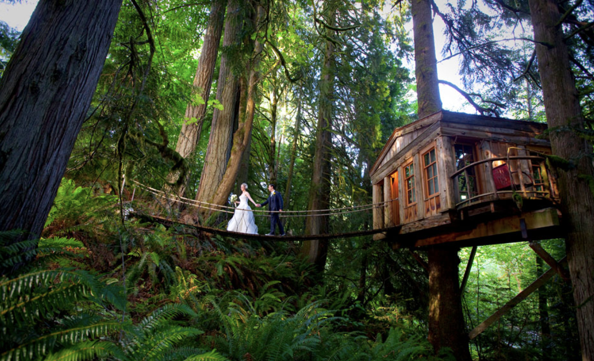 Необычная свадебная площадка расположена посреди леса недалеко от города Сиэтл, США. Фото yandex.ru