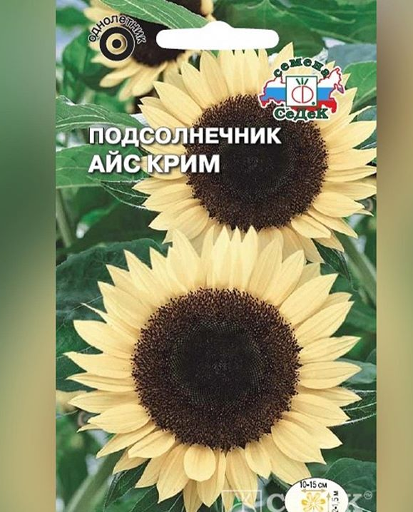 Третий раздел: отзывы о сортах подсолнечника для срезки