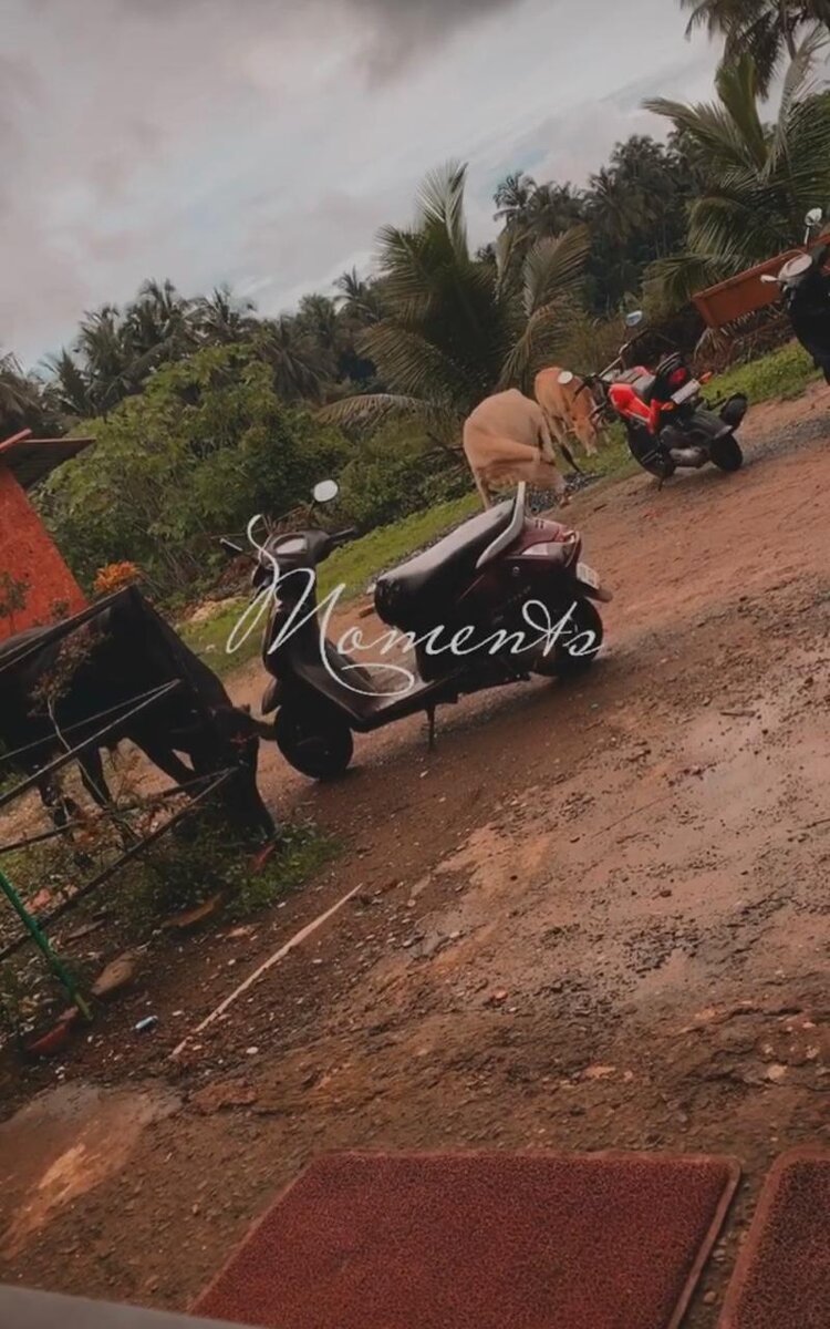 Фото из личных источников