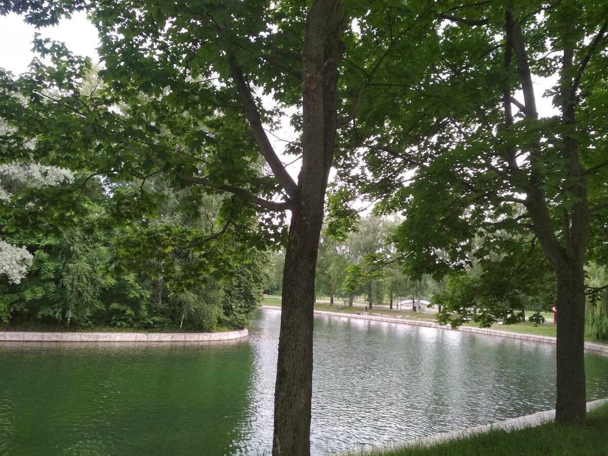 Фото из архива автора