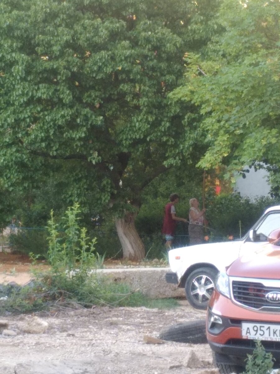 это наш урожай