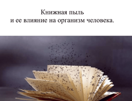 Фото из открытого источника