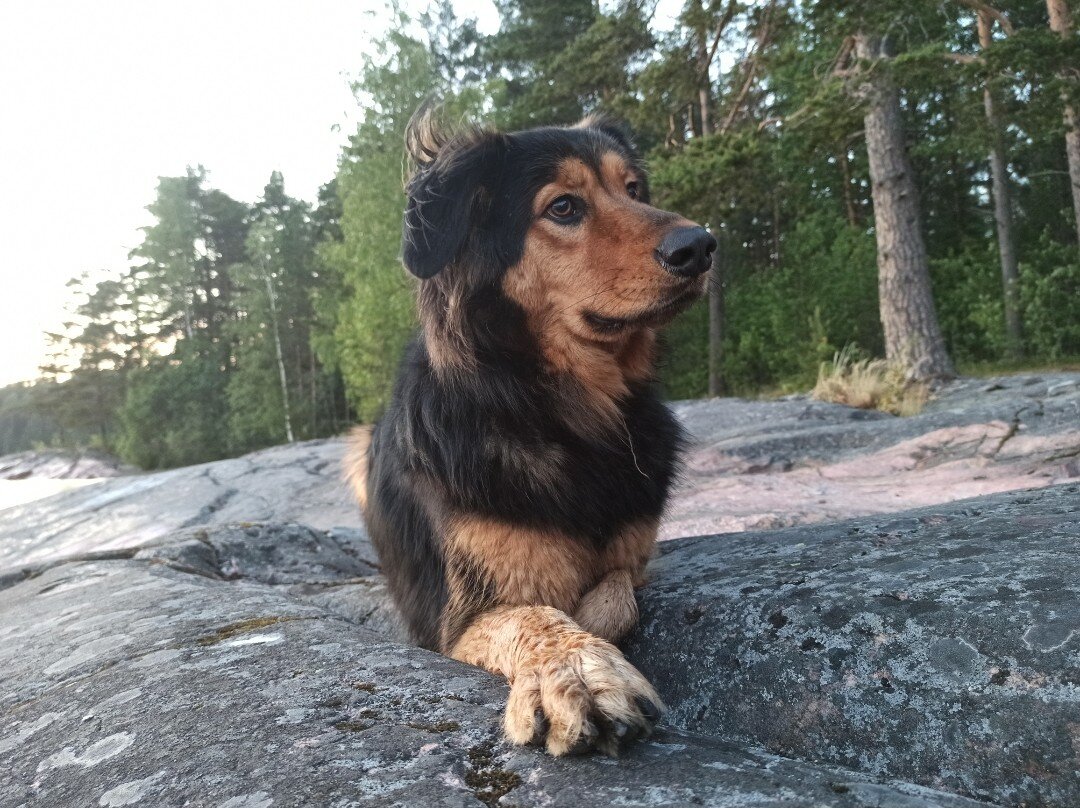 Фото с прогулки 