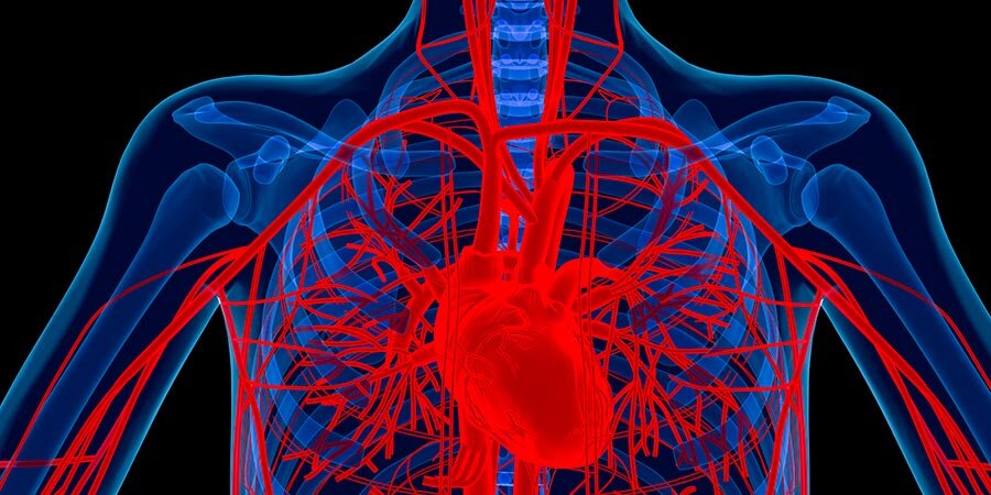 Изображение: lunalife.ru