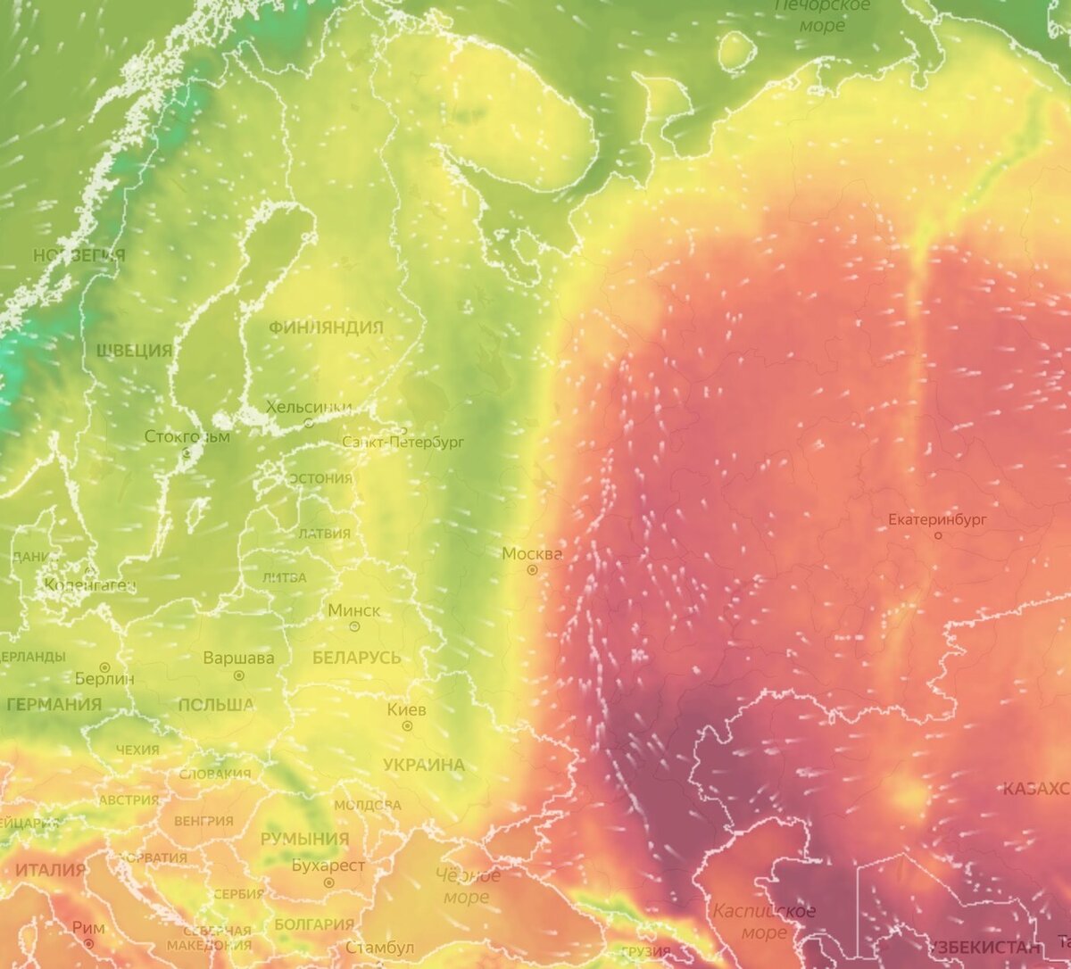 Дзен погода