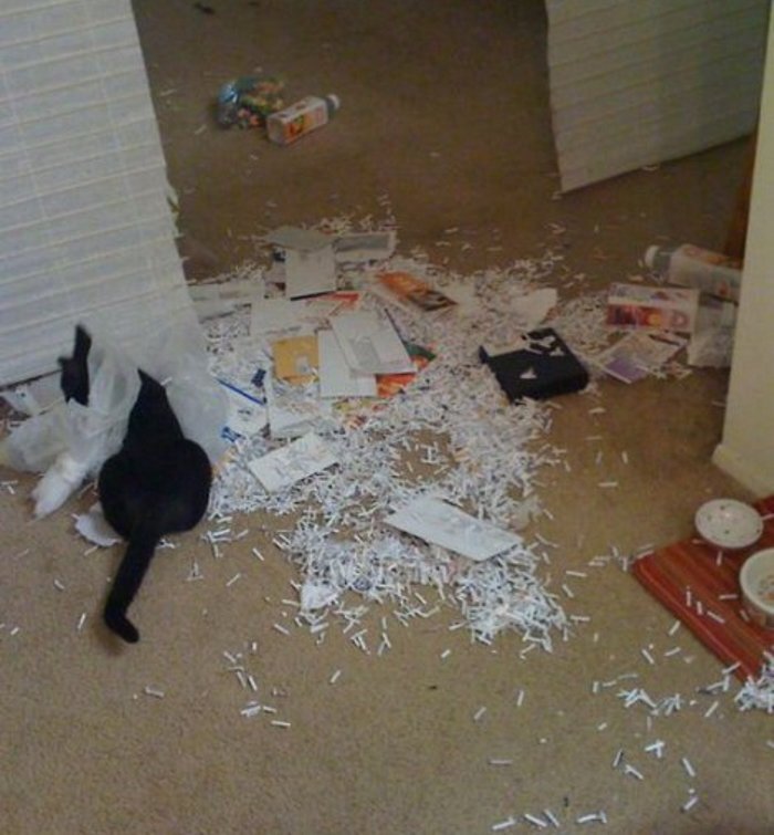 из открытого источника