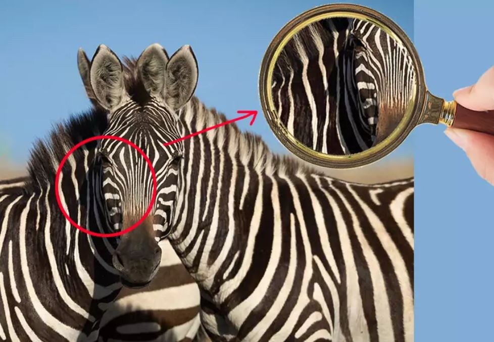 Чтобы объяснить природу иллюзии, некоторые пользователи взялись за графические редакторы