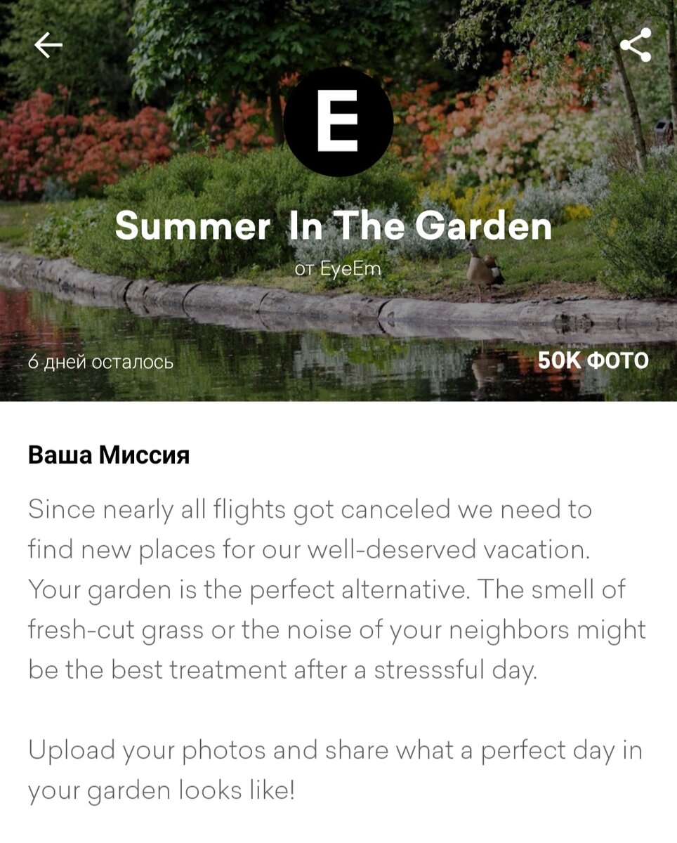 Тут нужно сфотографировать свой летний сад