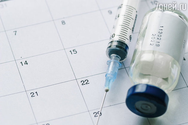 Фото: LEGION-MEDIA